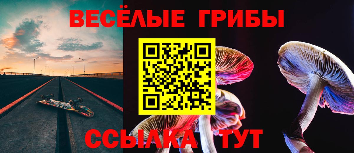 Галлюциногенные грибы ЛСД  Вход с VPN  хочу наркоту  Усть-Илимск  Галлюциногенные грибы мицелий 